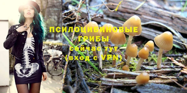 альфа пвп Белокуриха