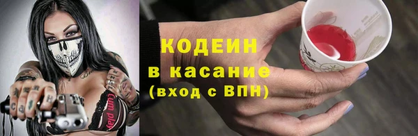 ECSTASY Богданович