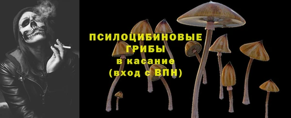 СК Богородск