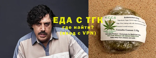 ECSTASY Богданович
